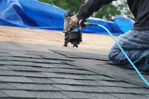 Best Roof Maintenance and Cleaning  in Rocky Mount, VA