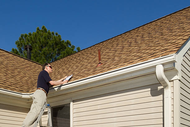 Best Roof Moss and Algae Removal  in Rocky Mount, VA
